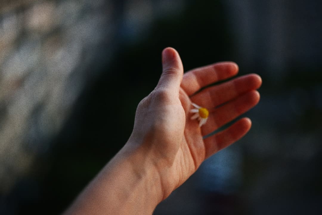 传承老西藏精力 续写高原新篇章